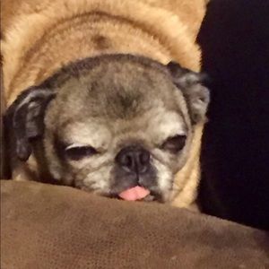 Meet your Posher, Mason